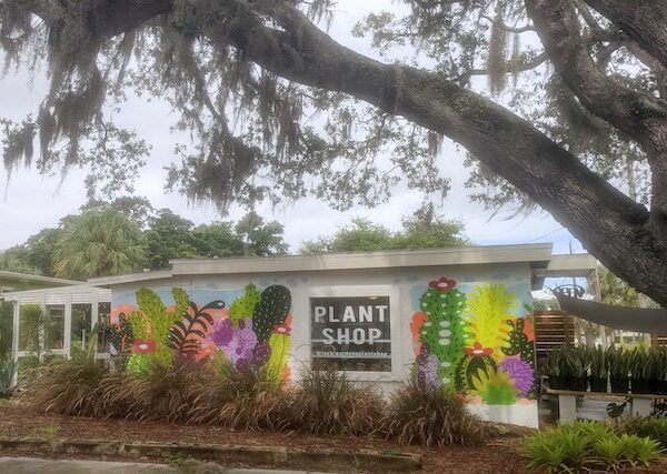 In Tarpon Springs