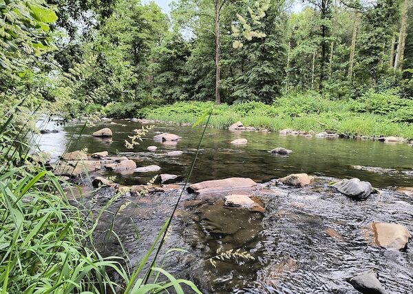 Rast im Chemnitz-Tal