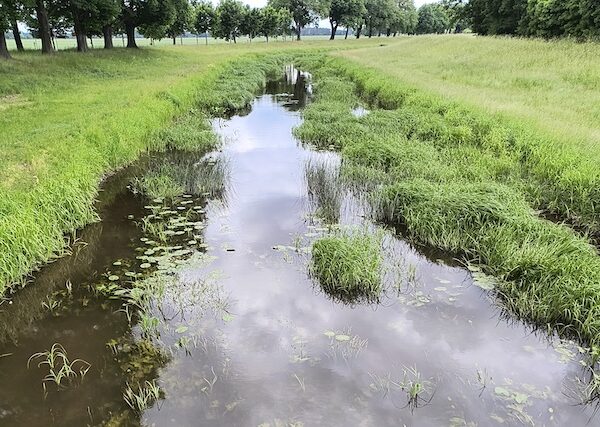 Die Schwarze Mulde