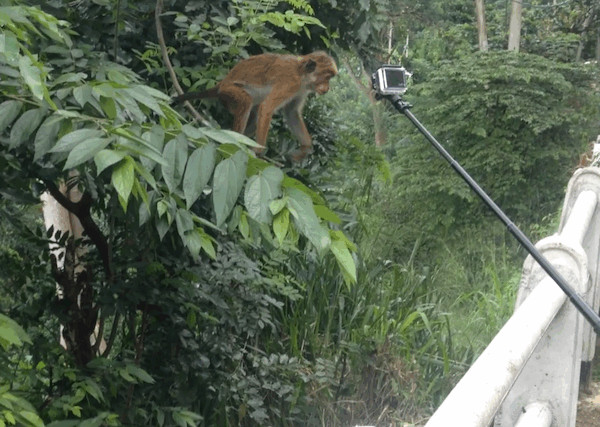 Unser rasender Reporter in Aktion