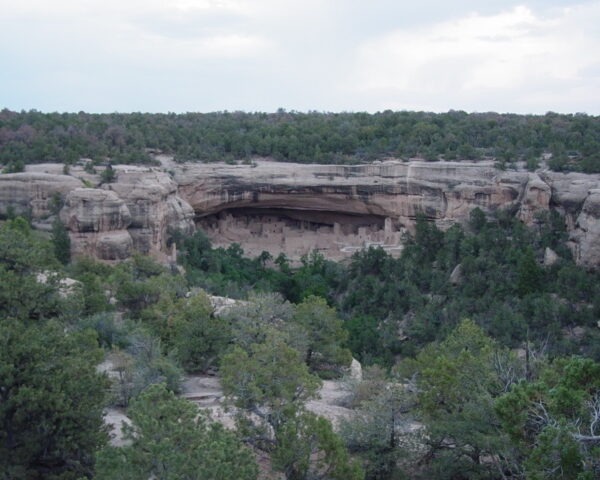 Mesa Verde Caves