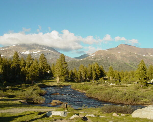 Yosemite NP - Upper Rim